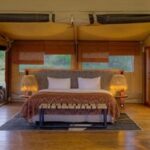 Kenya’s Mara Bushtops Unveils Luxe Family Suites