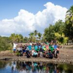 Sheraton Fiji Resorts on Denarau Island Launch Sustainable Mangrove Planting Initiative