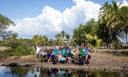 Sheraton Fiji Resorts on Denarau Island Launch Sustainable Mangrove Planting Initiative