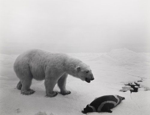 Time Machine the largest exhibition to date of the acclaimed Japanese artist Hiroshi Sugimoto opens in Sydney at MCA Australia2