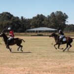 Mount William Polo & Long Lunch with Sarah Todd, Oct 2024!