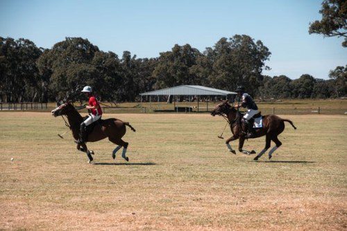 Mount William Polo & Long Lunch with Sarah Todd, Oct 2024!