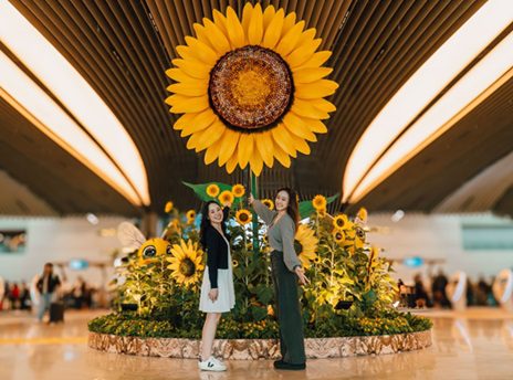 Changi Airport Unveils World’s Largest Sunflower Display