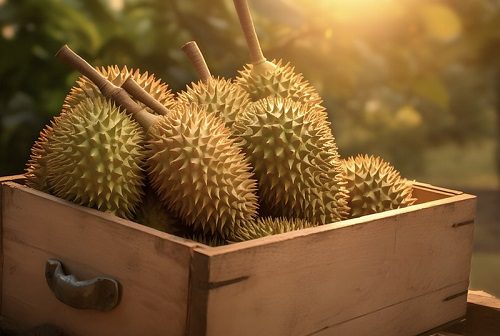 Malaysia Unveils Must-Try Durian-Themed Travel Packages!