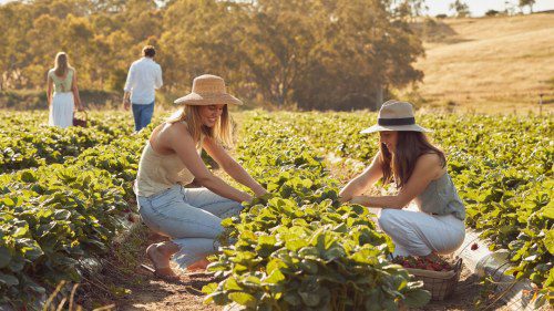 Fill Your Cup at Wellness Wander Adelaide Hills