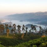 Ceylon Tea Trails Unveils New Pekoe Trail Adventure!