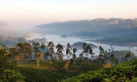 Ceylon Tea Trails Unveils New Pekoe Trail Adventure!