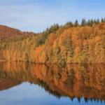 Falling for Scotland: Embrace Autumn’s Soulful Charm