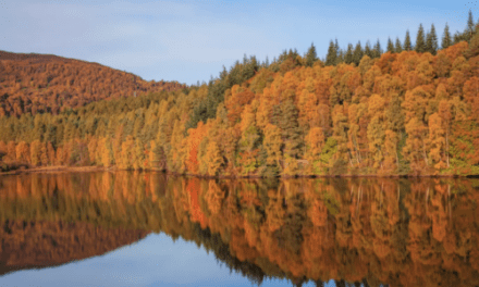 Falling for Scotland: Embrace Autumn’s Soulful Charm