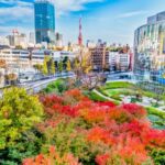 Mohri Garden in Minato Ward, Tokyo