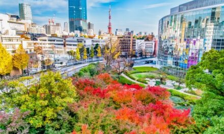 Explore Japan’s Autumn Splendour at MIMARU Family Hotels