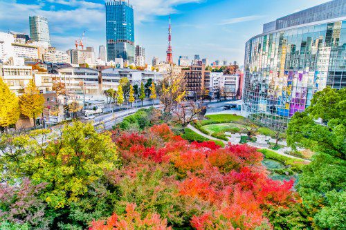 Explore Japan’s Autumn Splendour at MIMARU Family Hotels