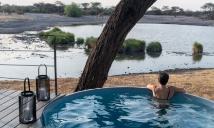 Discover Solo Safaris with Onguma in Namibia