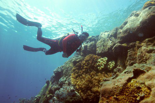 Explore Tenggol Island: Malaysia’s Hidden Paradise