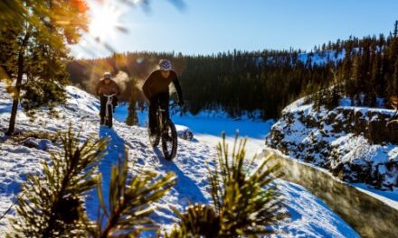 Pedal to the Peaks: Conquer Yukon’s Epic Bike Trails