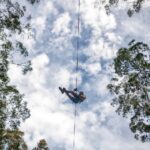 Zipcoaster Returns to Treetops Adventure Central Coast!