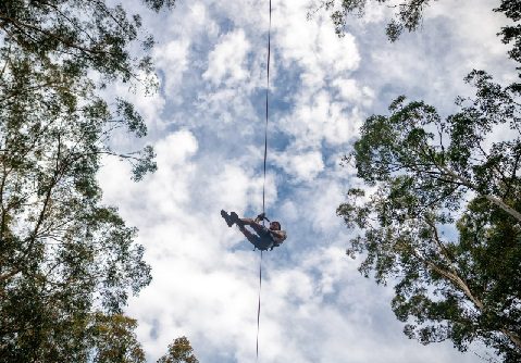 Zipcoaster Returns to Treetops Adventure Central Coast!