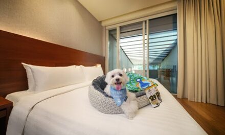 Oasia Sentosa Unveils New Rooms & Rejuvenated Junior Suites