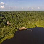 Sacha Lodge Launches Private Birding Tours in Amazon