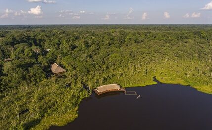 Sacha Lodge Launches Private Birding Tours in Amazon