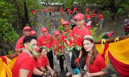 Vietjet Expands ‘Fly Green Forest’ to Phang Nga!