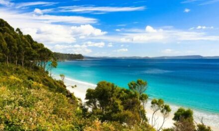 Explore Australia’s Best Beaches with SeaLink Tours