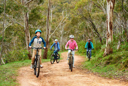 Cleland Conservation Park