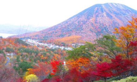 Discover Nikko’s Top 3 Autumn Spots with TOBU Railway