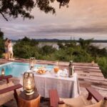 Why Safari Guru is the Expert Choice for Unforgettable African Safaris