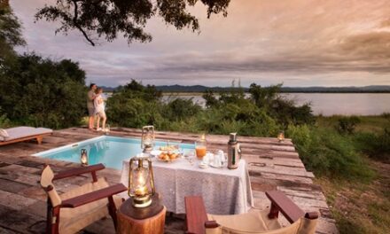 Why Safari Guru is the Expert Choice for Unforgettable African Safaris