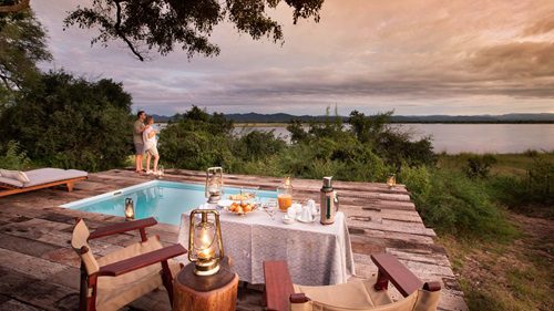 Why Safari Guru is the Expert Choice for Unforgettable African Safaris