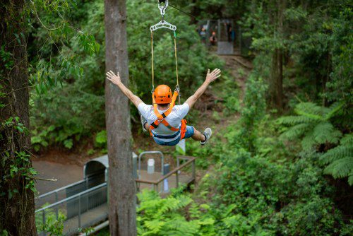 Merlin Sells Iconic Illawarra & Otway Fly Attractions