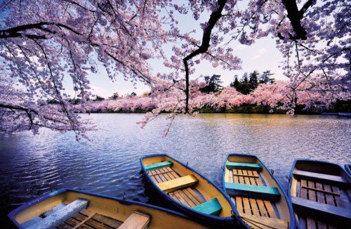 Japan, Asia & North Pacific Crossings