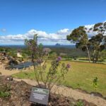 Maleny Botanic Gardens Unveils Inspiring Bush Tucker Gardens!