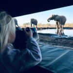 Botswana’s Mashatu Launches Family-Friendly Safari Deals & Unique Elephant Hide