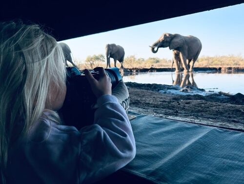 Botswana’s Mashatu Launches Family-Friendly Safari Deals & Unique Elephant Hide