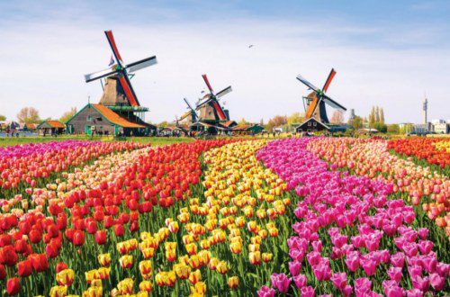 Northern Europe – British Isles, Iceland & Norway