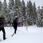 Nevada’s Hottest Snow Adventures: Winter Wonderland Awaits!