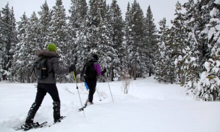 Nevada’s Hottest Snow Adventures: Winter Wonderland Awaits!