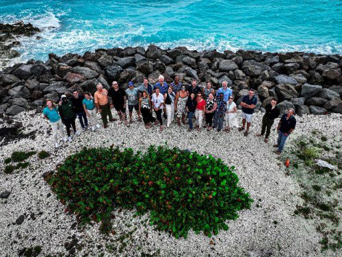 MSC Foundation Advances Coral Conservation at Ocean Cay