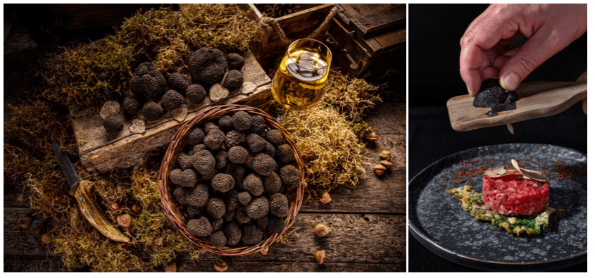 Discover the Iconic Home of Black Truffles!