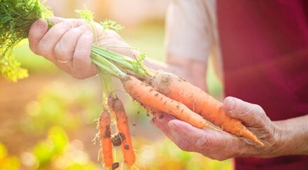 Fresh On Table, WSHA Partner for Sustainable Food Change!