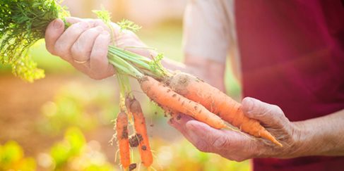 Fresh On Table, WSHA Partner for Sustainable Food Change!