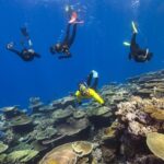 Great Barrier Reef Preps for Stunning Coral Baby Boom