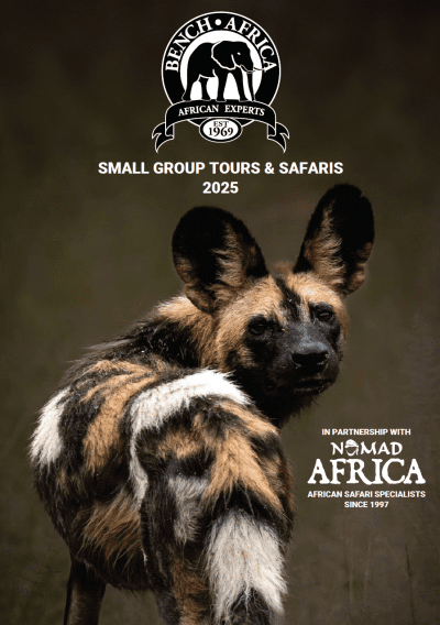 Explore 2025: New Small Group Safaris & Tours with Bench Africa