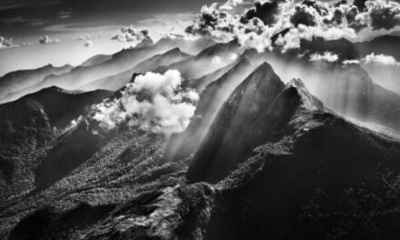 Experience Salgado’s Amazônia at Singapore’s Debut Exhibit