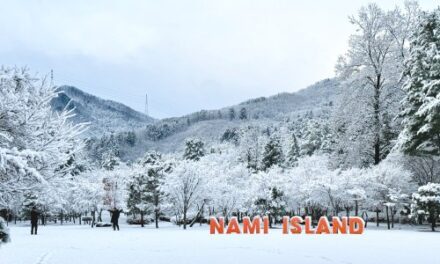 Discover the Magic: Winter Wonderland on Nami Island