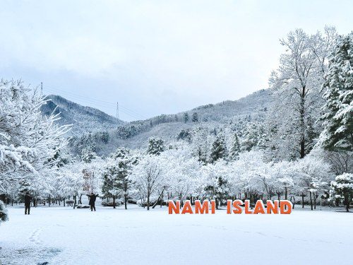 Discover the Magic: Winter Wonderland on Nami Island