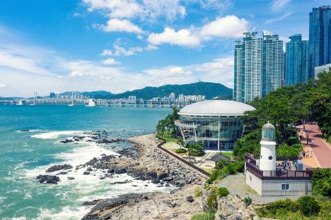 Busan Leads the Way in MICE Sustainability to Protect the Planet