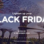 Unmissable Black Friday Travel Deals: Cruises, Flights & Hotel Offers